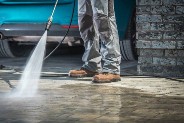Best Boat and Dock Cleaning  in Devola, OH